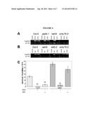 MOLECULES THAT INDUCE DISEASE RESISTANCE AND IMPROVE GROWTH IN PLANTS diagram and image