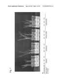 GENE ENCODING CYTOCHROME P450, AND USE THEREOF diagram and image