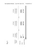 GENE ENCODING CYTOCHROME P450, AND USE THEREOF diagram and image