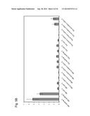 GENE ENCODING CYTOCHROME P450, AND USE THEREOF diagram and image