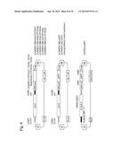 GENE ENCODING CYTOCHROME P450, AND USE THEREOF diagram and image