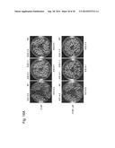 GENE ENCODING CYTOCHROME P450, AND USE THEREOF diagram and image