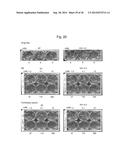 GENE ENCODING CYTOCHROME P450, AND USE THEREOF diagram and image