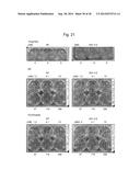 GENE ENCODING CYTOCHROME P450, AND USE THEREOF diagram and image