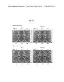 GENE ENCODING CYTOCHROME P450, AND USE THEREOF diagram and image