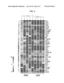 LEUKEMIA STEM CELL MARKERS diagram and image