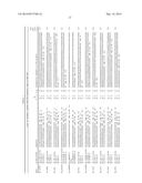 LEUKEMIA STEM CELL MARKERS diagram and image