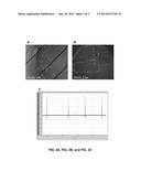 Methods, Systems, and Compositions for In Vitro Concentric Cell Culture     Analog Systems diagram and image