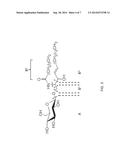 COMPOUNDS AND METHODS RELATING TO LYSOSOMAL STORAGE DISORDERS diagram and image