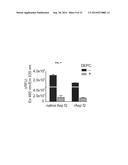 METHODS, COMPOSITIONS, AND KITS FOR DETECTION OF ASPERGILLOSIS diagram and image