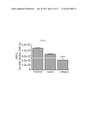 METHODS, COMPOSITIONS, AND KITS FOR DETECTION OF ASPERGILLOSIS diagram and image