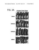 HAIR GROWTH METHODS USING FGFR3 EXTRACELLULAR DOMAINS diagram and image