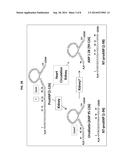 PROANP COMPOSITIONS AND METHODS FOR TREATING ACUTE HEART FAILURE diagram and image