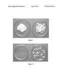 MEDICINAL CREAM MADE USING SILVER SULPHADIAZINE AND CHITOSAN AND A PROCESS     TO MAKE IT diagram and image