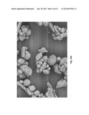 Sprayable Hemostat Using Soluble Oxidized Cellulose With Miniaturized     Electrospray System And Method diagram and image