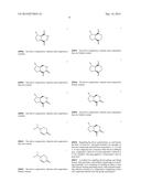 Methods and Compositions Utilizing Lactams Derived from Camphor, Verbenone     or Cat Thyme Oil for Repelling Blood-Sucking and Biting Insects, Ticks     and Mites diagram and image