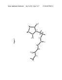 PRODRUGS OF FUMARATES AND THEIR USE IN TREATING VARIOUS DISEASES diagram and image