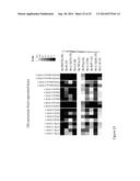 DESETHYLHYDROXYCHLOROQUINE FOR THE TREATMENT OF DISEASES ASSOCIATED WITH     INFLAMMATION diagram and image