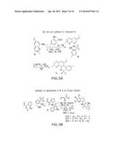 COMPOUNDS THAT INHIBIT NFkB AND BACE1 ACTIVITY diagram and image
