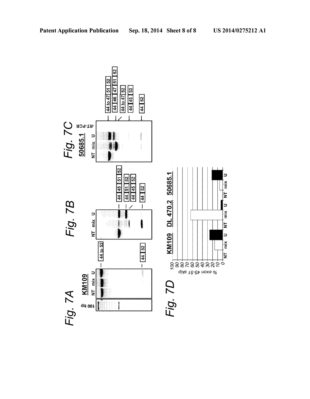 MODULATION OF EXON RECOGNITION IN PRE-MRNA BY INTERFERING WITH THE     SECONDARY RNA STRUCTURE - diagram, schematic, and image 09