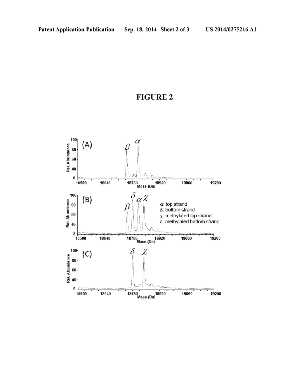 ALTERATION OF NEURONAL GENE EXPRESSION BY SYNTHETIC piRNAs AND BY     ALTERATION OF piRNA FUNCTION - diagram, schematic, and image 03