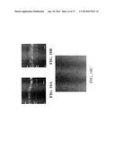 CHIMERIC PROMOTER FOR CONE PHOTORECEPTOR TARGETED GENE THERAPY diagram and image