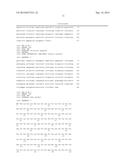 CHIMERIC PROMOTER FOR CONE PHOTORECEPTOR TARGETED GENE THERAPY diagram and image