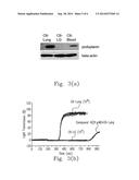 Composition of 5-Nitrobenzoate Derivatives as Anti-Metastatic Agent that     Inhibits Tumor Cell-Induced Platelet Aggregation diagram and image