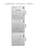 ORGANOBORONATE NANOPARTICLES AND METHODS OF USING THE SAME diagram and image