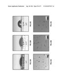 ORGANOBORONATE NANOPARTICLES AND METHODS OF USING THE SAME diagram and image