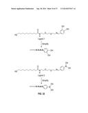 ORGANOBORONATE NANOPARTICLES AND METHODS OF USING THE SAME diagram and image