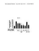 HUMAN MONOCLONAL ANTIBODY NEUTRALIZING VASCULAR ENDOTHELIAL GROWTH FACTOR     RECEPTOR AND USE THEREOF diagram and image