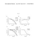 HUMAN MONOCLONAL ANTIBODY NEUTRALIZING VASCULAR ENDOTHELIAL GROWTH FACTOR     RECEPTOR AND USE THEREOF diagram and image