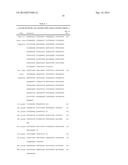 HUMAN MONOCLONAL ANTIBODY NEUTRALIZING VASCULAR ENDOTHELIAL GROWTH FACTOR     RECEPTOR AND USE THEREOF diagram and image