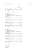 HUMAN MONOCLONAL ANTIBODY NEUTRALIZING VASCULAR ENDOTHELIAL GROWTH FACTOR     RECEPTOR AND USE THEREOF diagram and image