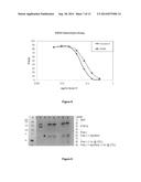 ISOLATION OF FACTOR H FROM FRACTION I PASTE diagram and image