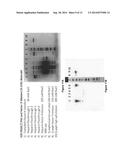 ISOLATION OF FACTOR H FROM FRACTION I PASTE diagram and image