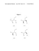 ARTIFICIAL NUCLEIC ACIDS diagram and image