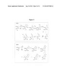 ARTIFICIAL NUCLEIC ACIDS diagram and image