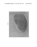 CRYSTAL OF 5-HYDROXY-1H-IMIDAZOLE-4-CARBOXAMIDE 3/4 HYDRATE, METHOD FOR     PRODUCING THE SAME AND CRYSTAL OF 5-HYDROXY-1H-IMIDAZOLE-4-CARBOXAMIDE     HYDRATE diagram and image