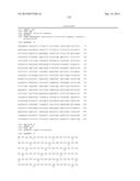 THIOESTERASES AND CELLS FOR PRODUCTION OF TAILORED OILS diagram and image