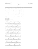 THIOESTERASES AND CELLS FOR PRODUCTION OF TAILORED OILS diagram and image