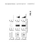 SYSTEM AND METHOD FOR MICROMAGNETIC STIMULATION OF THE CENTRAL NERVOUS     SYSTEM diagram and image