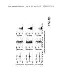 SYSTEM AND METHOD FOR MICROMAGNETIC STIMULATION OF THE CENTRAL NERVOUS     SYSTEM diagram and image