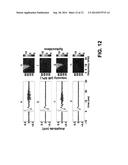 SYSTEM AND METHOD FOR MICROMAGNETIC STIMULATION OF THE CENTRAL NERVOUS     SYSTEM diagram and image