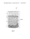 Methods of Manufacture to Optimize Performance of Transdermal Sampling and     Analysis Device diagram and image