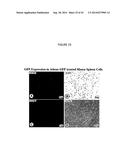 Coated Surgical Mesh, and Corresponding Systems and Methods diagram and image