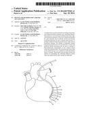 Devices and Methods for Catheter Localization diagram and image