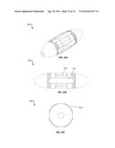 Implantable Devices with Delivery Systems and Methods for Blocking     Digestive Neurohormonal Pathways in Mammals diagram and image