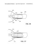 Therapeutic Cryoablation System diagram and image